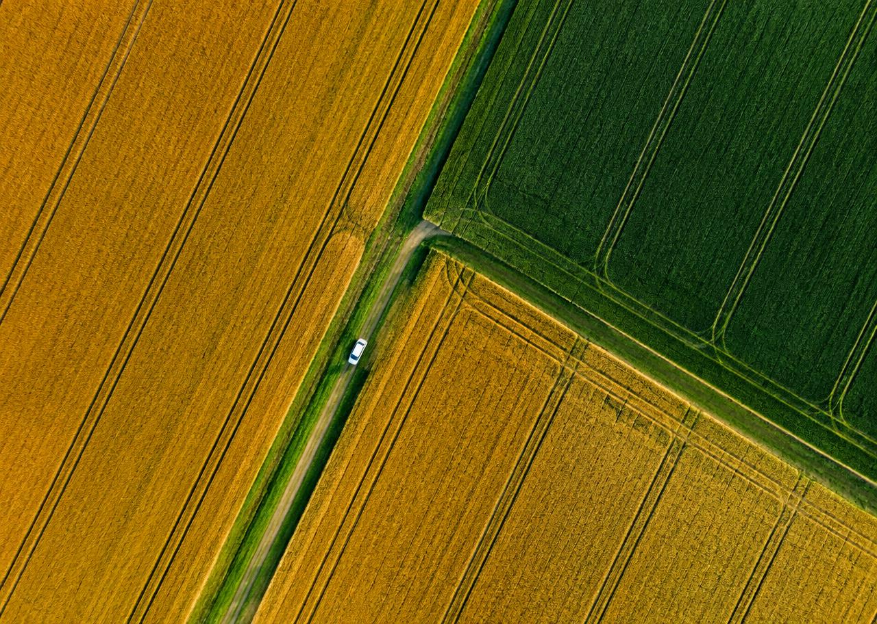 Aerial view of farmland fields in geometric rows